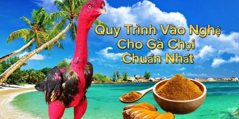 Những lưu ý quan trọng tân kê thủ cần nhớ